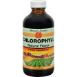 Bernard Jensen Chlorophyll Natural Liquid - 8 Fl Oz For Sale