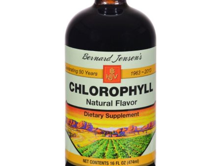 Bernard Jensen Chlorophyll Natural Liquid - 16 Fl Oz For Cheap