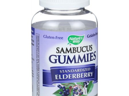 Nature s Way Sambucus Gummies - 60 Count Online Hot Sale