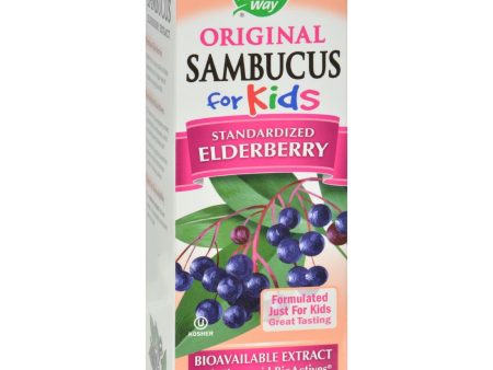 Nature s Way Original Sambucus For Kids - Standardized Elderberry - 8 Fl Oz Online