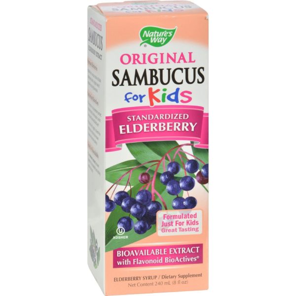 Nature s Way Original Sambucus For Kids - Standardized Elderberry - 8 Fl Oz Online